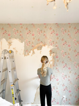 Wall paper removal